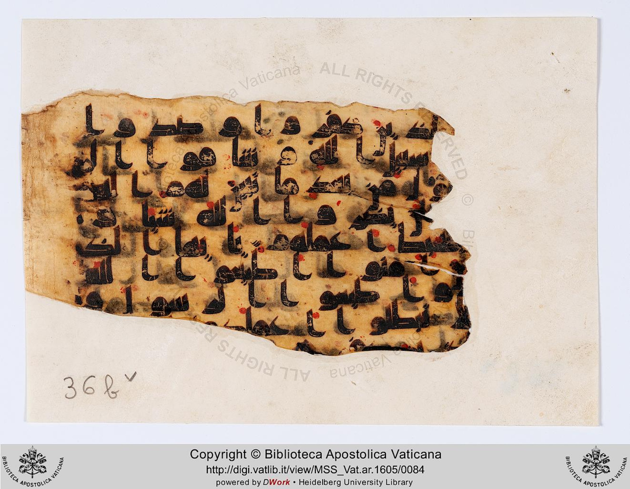 Rome, Biblioteca Apostolica Vaticana, Vat. Ar. 1605 (36) (Scan 2), in kūfī D.IV script, showing Surah 47:32 from 8th to 9th Century AD found in Fustat (Old Cairo), Egypt, currently housed at Biblioteca Apostolica Vaticana, Rome